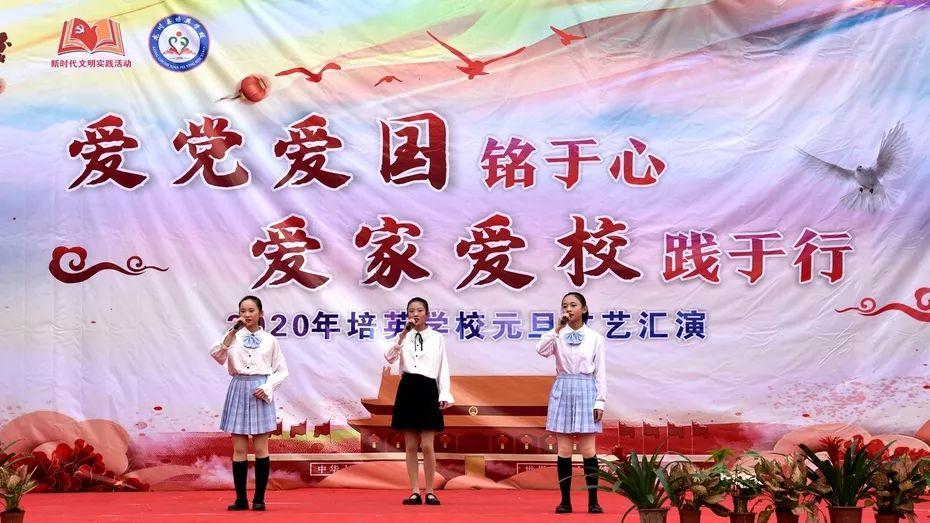 针织裙