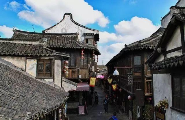动物帮帮忙保卫家园